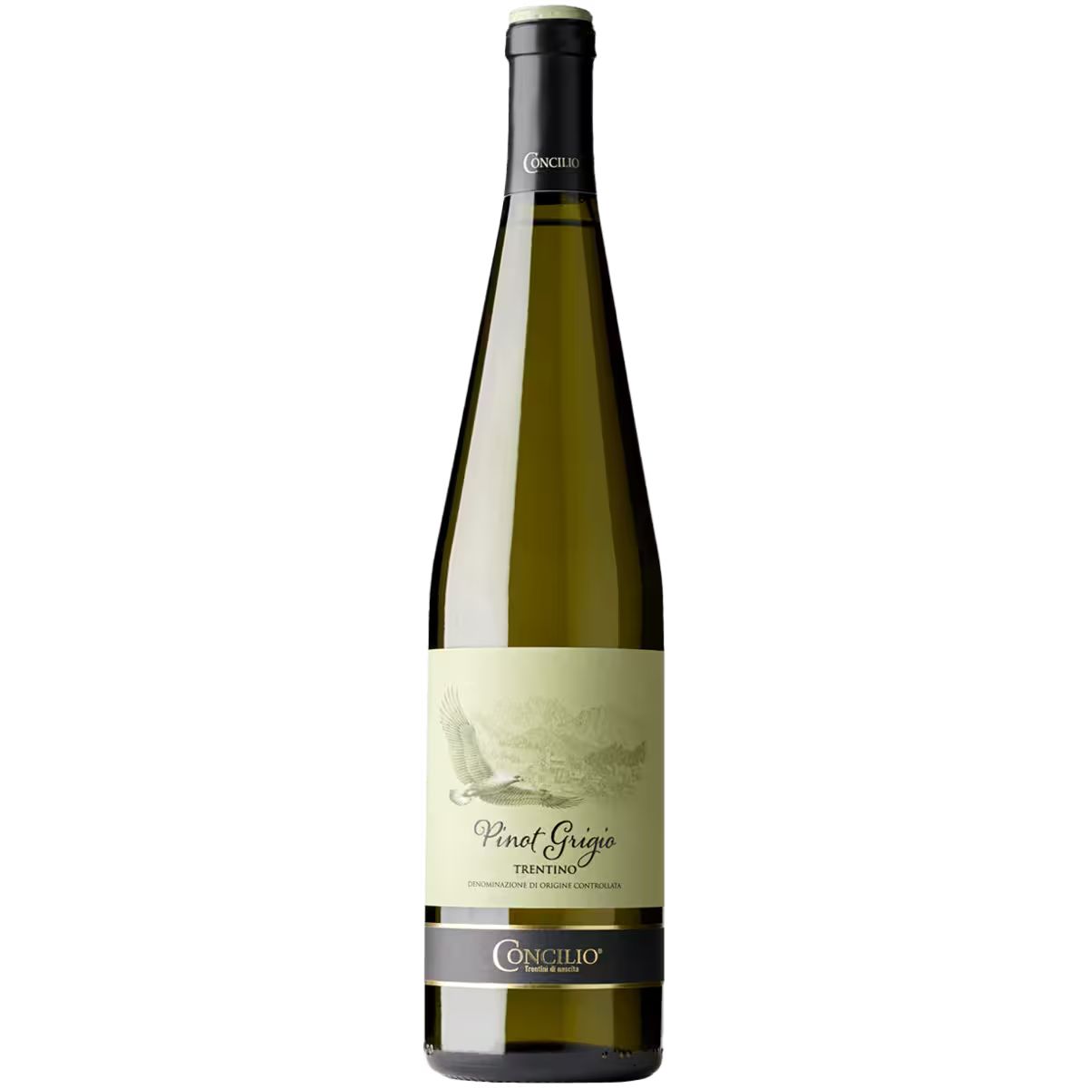 Вино Concilio Pinot Grigio белое сухое 0,75 л